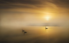 Desktop image. Nature. ID:54365