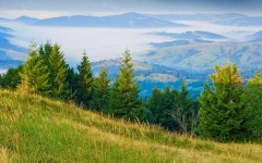 Desktop wallpaper. Nature. ID:54641
