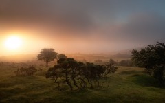 Desktop wallpaper. Nature. ID:54645
