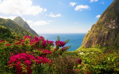 Desktop wallpaper. Nature. ID:54654