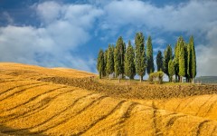 Desktop wallpaper. Nature. ID:54662