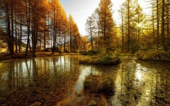 Desktop wallpaper. Nature. ID:54668