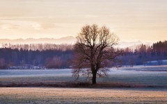 Desktop wallpaper. Nature. ID:54671