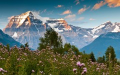 Desktop wallpaper. Nature. ID:54710