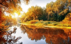 Desktop wallpaper. Nature. ID:54878