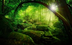 Desktop wallpaper. Nature. ID:54923