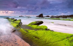 Desktop image. Nature. ID:55012
