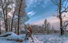Desktop image. Nature. ID:55322