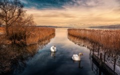 Desktop wallpaper. Nature. ID:56183