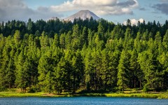 Desktop image. Nature. ID:67637