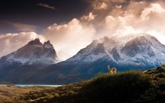 Desktop wallpaper. Nature. ID:56186