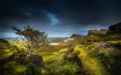 Desktop wallpaper. Nature. ID:56192
