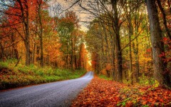 Desktop wallpaper. Nature. ID:56764