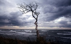 Desktop wallpaper. Nature. ID:56791