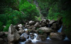 Desktop wallpaper. Nature. ID:56794