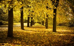 Desktop wallpaper. Nature. ID:56827