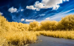 Desktop wallpaper. Nature. ID:56833