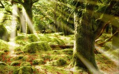 Desktop wallpaper. Nature. ID:56835