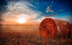 Desktop wallpaper. Nature. ID:56838