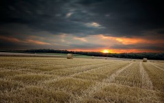 Desktop wallpaper. Nature. ID:56901
