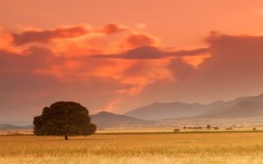 Desktop wallpaper. Nature. ID:56925