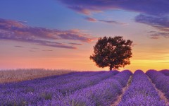 Desktop wallpaper. Nature. ID:57245