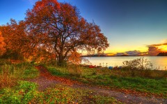 Desktop wallpaper. Nature. ID:57266