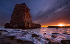 Desktop wallpaper. Nature. ID:57294