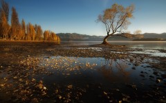 Desktop wallpaper. Nature. ID:57331