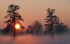 Desktop wallpaper. Nature. ID:57364