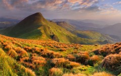 Desktop wallpaper. Nature. ID:57369