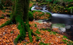 Desktop wallpaper. Nature. ID:57395