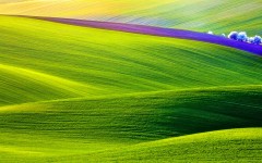 Desktop wallpaper. Nature. ID:57411