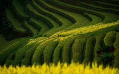 Desktop wallpaper. Nature. ID:57414