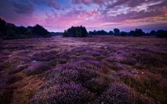Desktop wallpaper. Nature. ID:57424