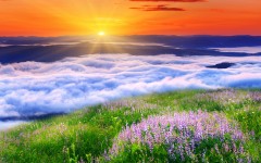 Desktop wallpaper. Nature. ID:57483
