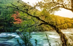 Desktop image. Nature. ID:67639