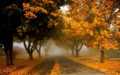 Desktop wallpaper. Nature. ID:57495