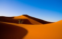 Desktop wallpaper. Nature. ID:57505