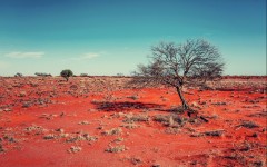 Desktop wallpaper. Nature. ID:57528