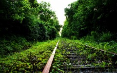 Desktop wallpaper. Nature. ID:61755