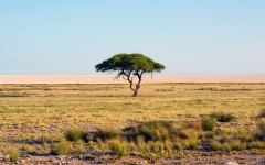 Desktop wallpaper. Nature. ID:61774