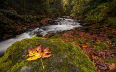 Desktop wallpaper. Nature. ID:61809