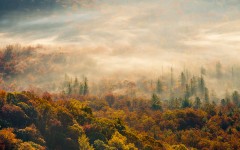 Desktop wallpaper. Nature. ID:61862