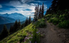 Desktop wallpaper. Nature. ID:61893
