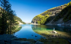Desktop wallpaper. Nature. ID:61973