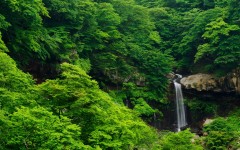 Desktop wallpaper. Nature. ID:62045