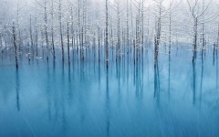 Desktop wallpaper. Nature. ID:62063