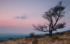 Desktop wallpaper. Nature. ID:62094
