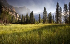 Desktop wallpaper. Nature. ID:62128